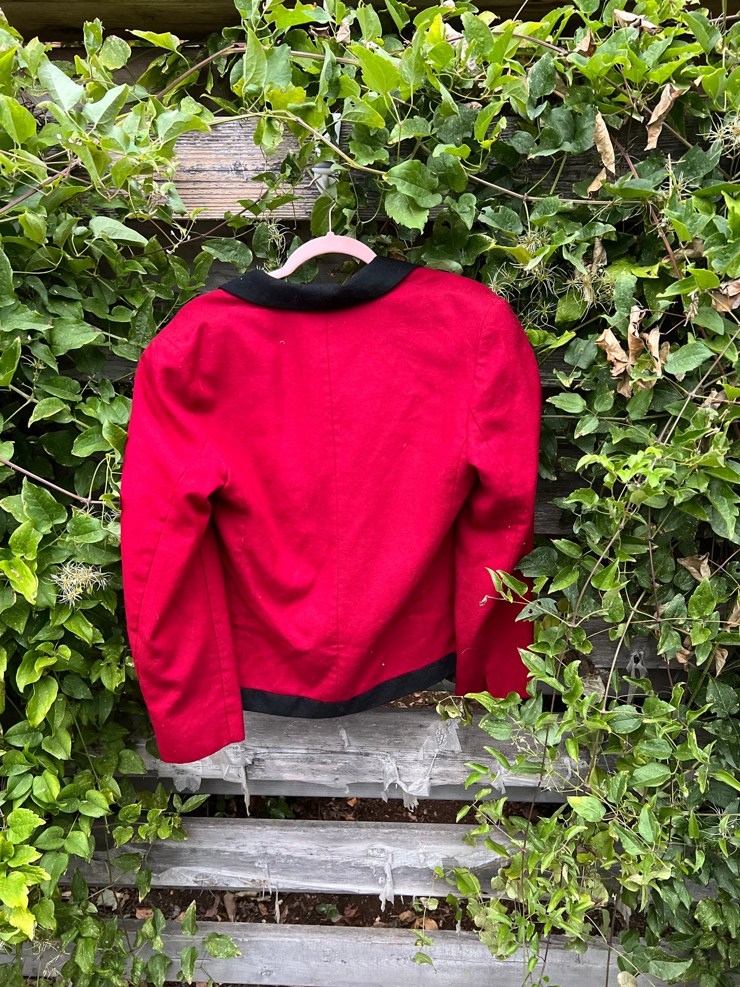 Cropped Red Wool Blazer Size 8 by Mr. Jax